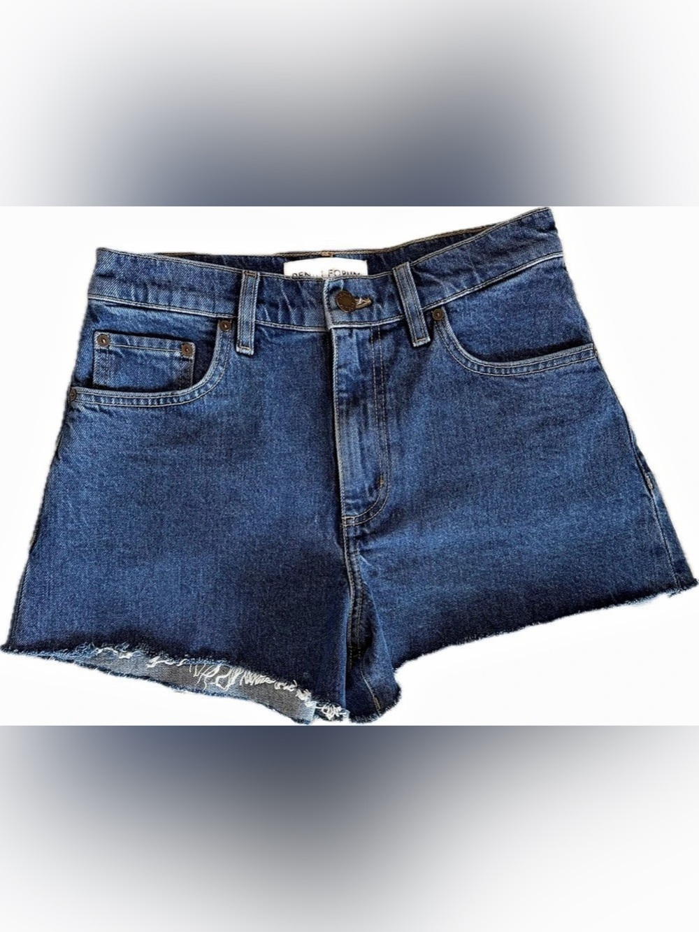 Aritzia Denim Forum Jodie High Rise Mini Denim Shorts 27 Medium Blue Raw Hem